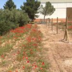 Cerralba | Mallas ganado Albacete