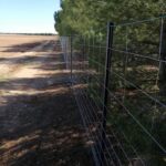 Vallado cinegético en Albacete | Cerralba