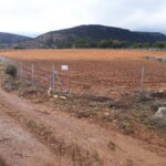Vallado agrícola Cuenca | Cerralba, cerramientos metálicos