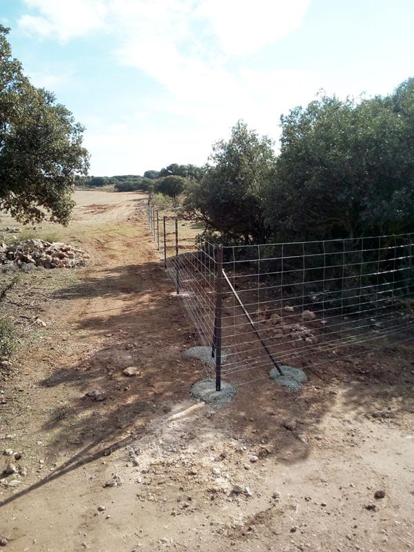 Vallado malla cinegética | Cerralba Cerramientos Albacete