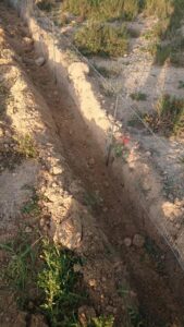 Cerramiento protección tortuga mora | Cerralba Albacete