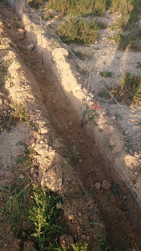 Cerramiento protección tortuga mora | Cerralba Albacete