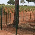 Cerramiento Hércules Quintanar del Rey en vivero forestal | Cerralba Cuenca