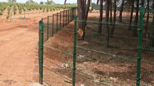 Cerramiento Hércules Quintanar del Rey en vivero forestal | Cerralba