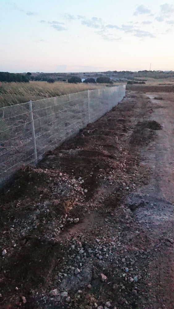 Vallado para la protección contra jabalíes en plantación de trufa provincia Cuenca | Cerralba