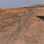 Vallado protección contra conejos